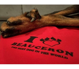 Scarves for dogs Beauceron